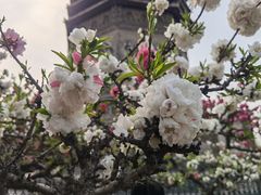 -玲珑塔公园
