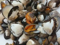 android_upload_pic-天津乾毓德饭庄·清真传统炒菜·海鲜烧烤(咸阳路店)