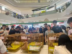 -帕帕拉兹宠物(亚洲旗舰店)