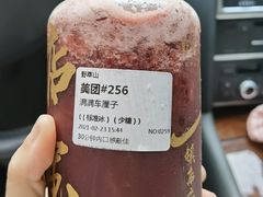 -野萃山·潮汕厚果汁(十亩地店)