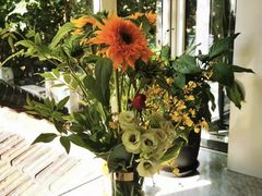 -蝶舍·MAISON PAPILLON