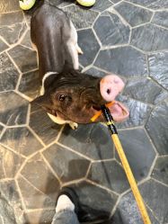 -Zoolung Zoolung动物主题公园(海信广场店)