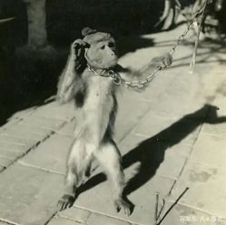 -浙江大学医学院附属妇产科医院(湖滨院区)