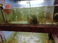 水产区-旺达·福州菜(正大广场店)