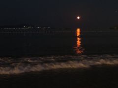 -枸杞岛