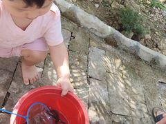 -麻涌飞鸭开心农场