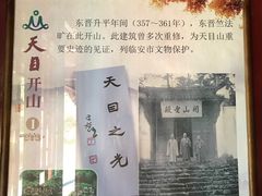 -天目山大树王景区