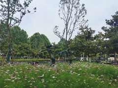 -天鹅湖体育公园