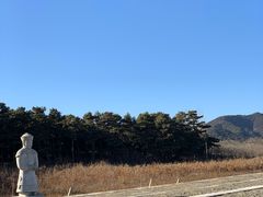 -清东陵