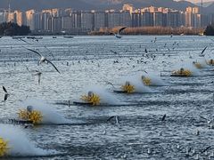 -海埂大坝