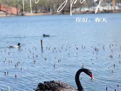 -朝阳公园