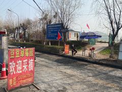 -白鹿原樱桃园