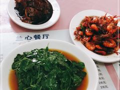 -蘭心餐厅(进贤路店)
