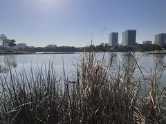 -美兰湖景区