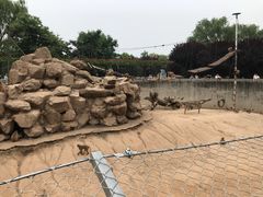 -西安秦岭野生动物园