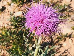 -鹫峰国家森林公园