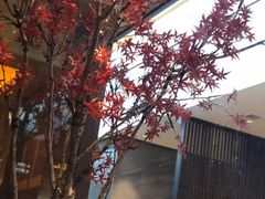 -三谷里·生态水疗空间(五一店)