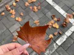 -兰陵国家农业公园