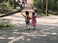 -贵州森林野生动物园