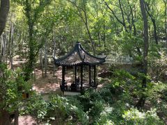 -虞山风景区