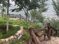 -十渡高山漂流