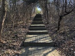 -六合国家地质公园桂子山景区