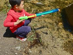 -碓臼峪自然风景区