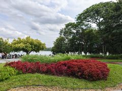 -海珠湖公园