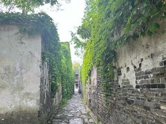 -乌镇景区