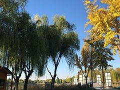 -廊坊文化艺术中心