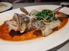 -维园悦谱·海派家常菜(乌鲁木齐南路店)
