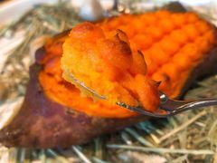 -鼎鼎西餐厅