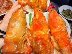 -杨氏青龙虾·羊蝎子(托乐嘉店)