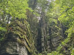 -梭布垭石林景区