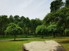 -汤湖公园