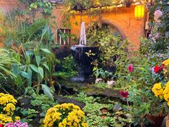 -园林美食城·本土农家菜(杨和镇店)