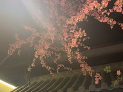-卢大鲜鱼头捞饭(美利广场店)