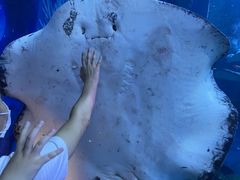 -上海海昌海洋公园