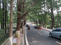 -八大关景区