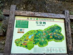 -西双版纳原始森林公园