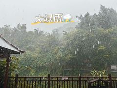 -西双版纳原始森林公园