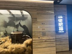 -佬肥猫(国华广场店)