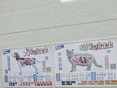 -北京观赏动物医院·24小时大型综合·猫专科·异宠专科