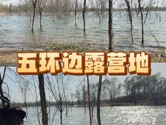 -绿堤公园