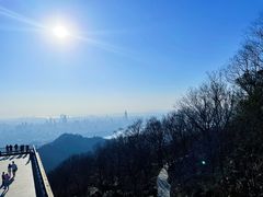 -紫金山山顶公园