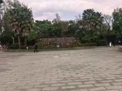 -洱海月湿地公园