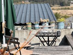 -YLK云南小粒咖啡·云里咖(二号店)