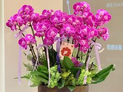 -F.Story 花和故事(新天地店)