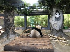 -海南热带野生动植物园