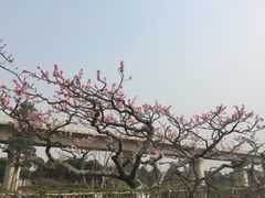 -秀丽东方